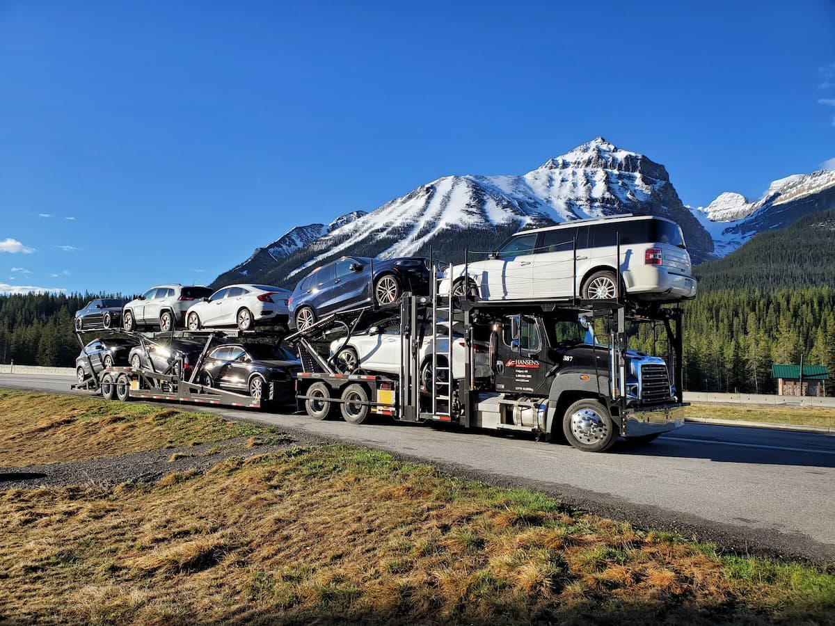 Strategic Transportation Choices